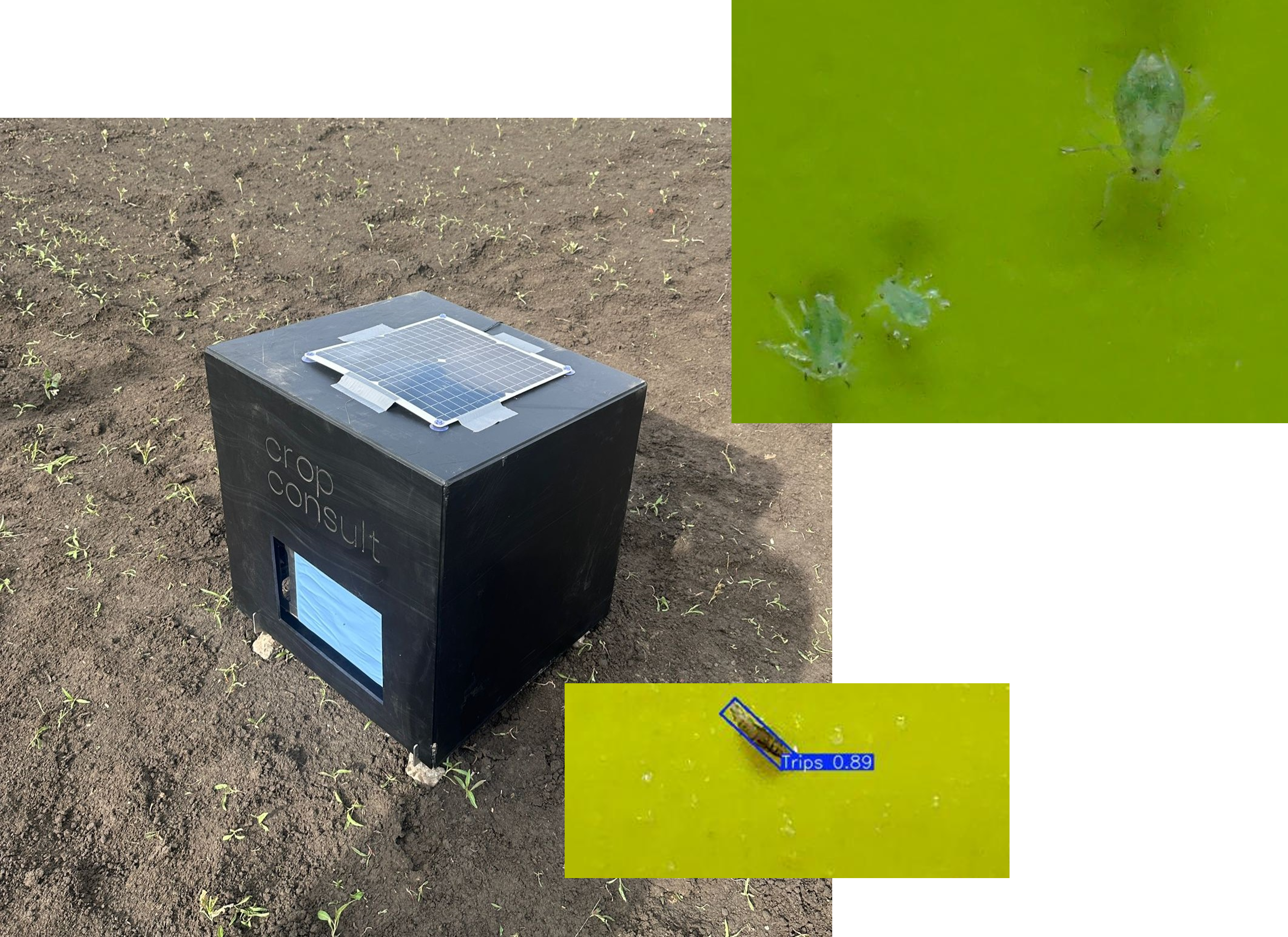 Crop Consult